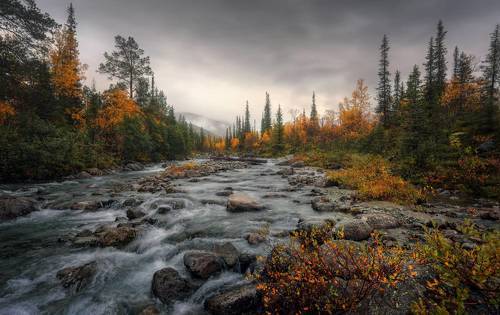 Холодные воды Гольцовки