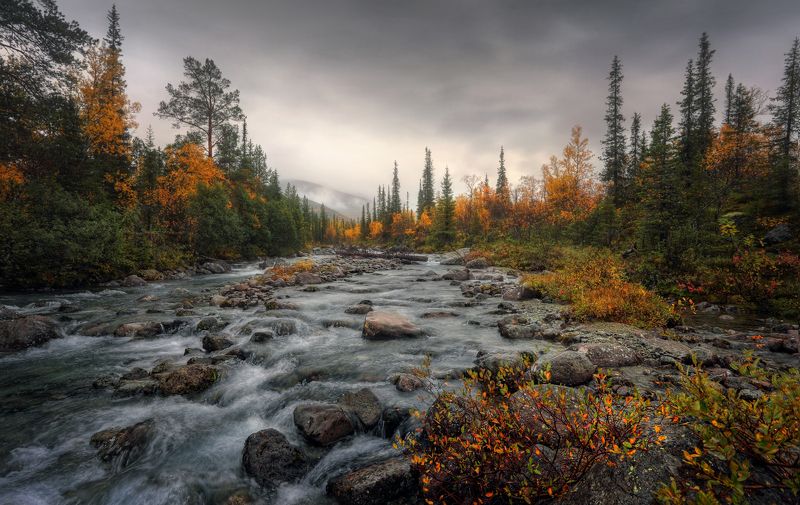 Кольский Заполярье Хибины река Гольцовка осень  Холодные воды Гольцовки фото превью