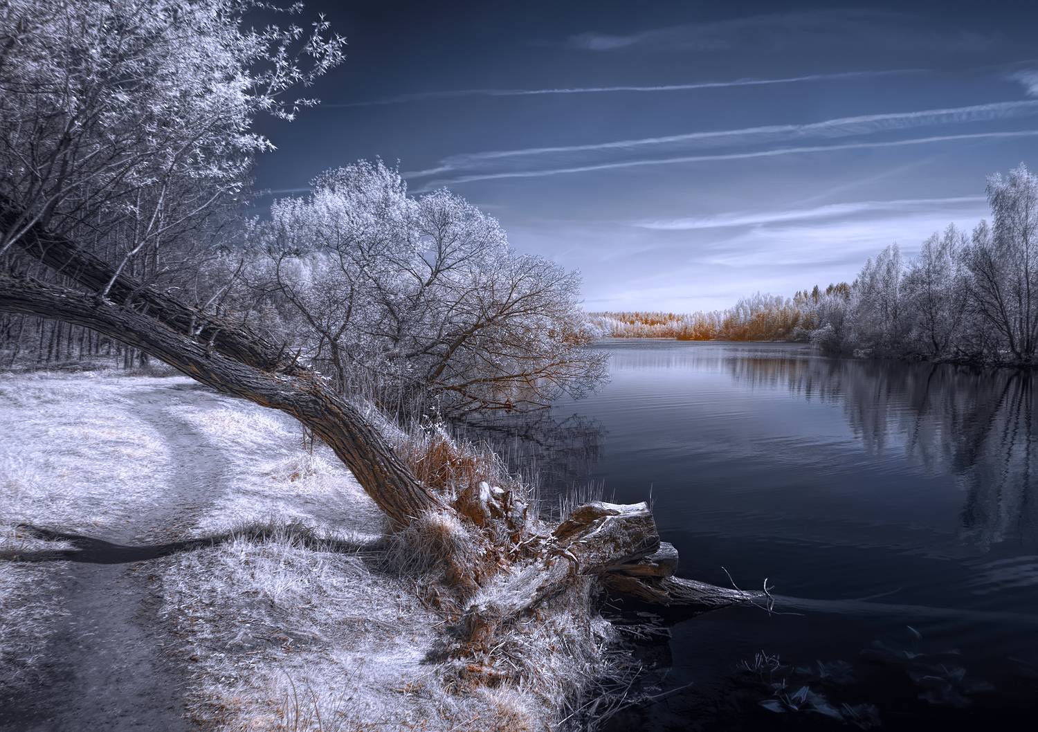 infrared,ик-фото,инфракрасное фото, инфракрасная фотография, пейзаж, весна,  Sixten (Сергей)