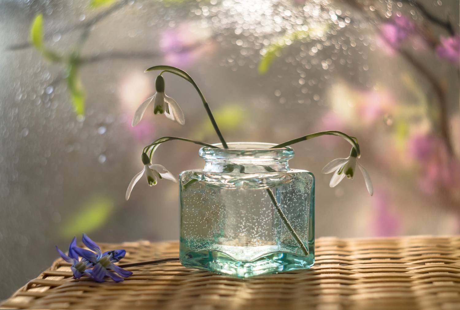 натюрморт,декор,весна,макро,цветы,флора,лепестки,подснежники,перелески,антонина яновска,сanon eos m50,, Антонина Яновска