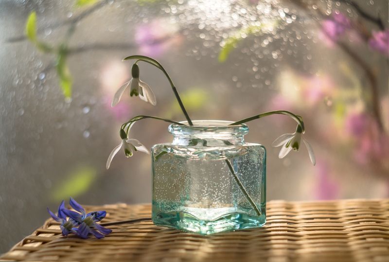 Весеннее утро фото превью