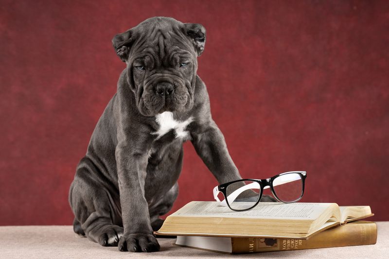 фото превью