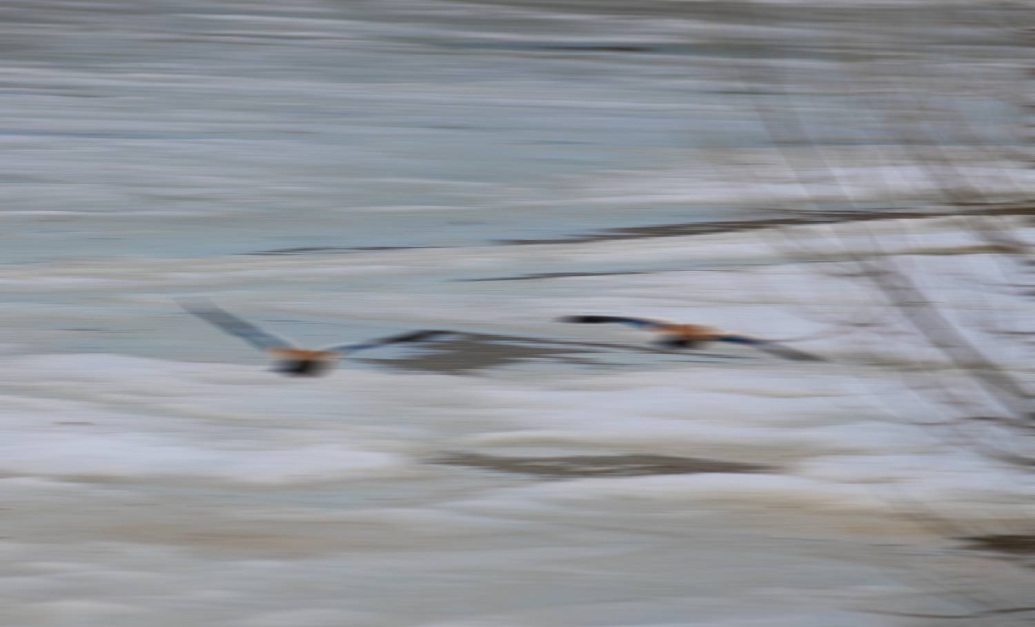 , Михаил Кабанов