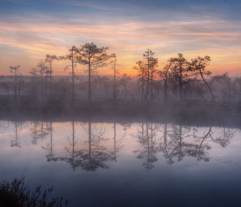 ... болотные зарисовки ... фото превью