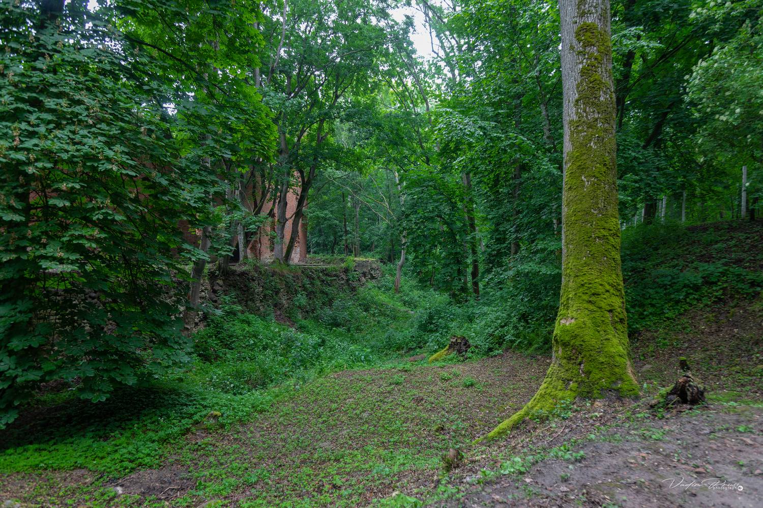 Бальга, Восточная Пруссия, замок, развалины, фотография, пейзаж, природа, Германия, Свирин Вадим, Balga, East Prussia, castle, ruins, photography, landscape, nature, Germany, Vadim Svirin, Vadim Svirin