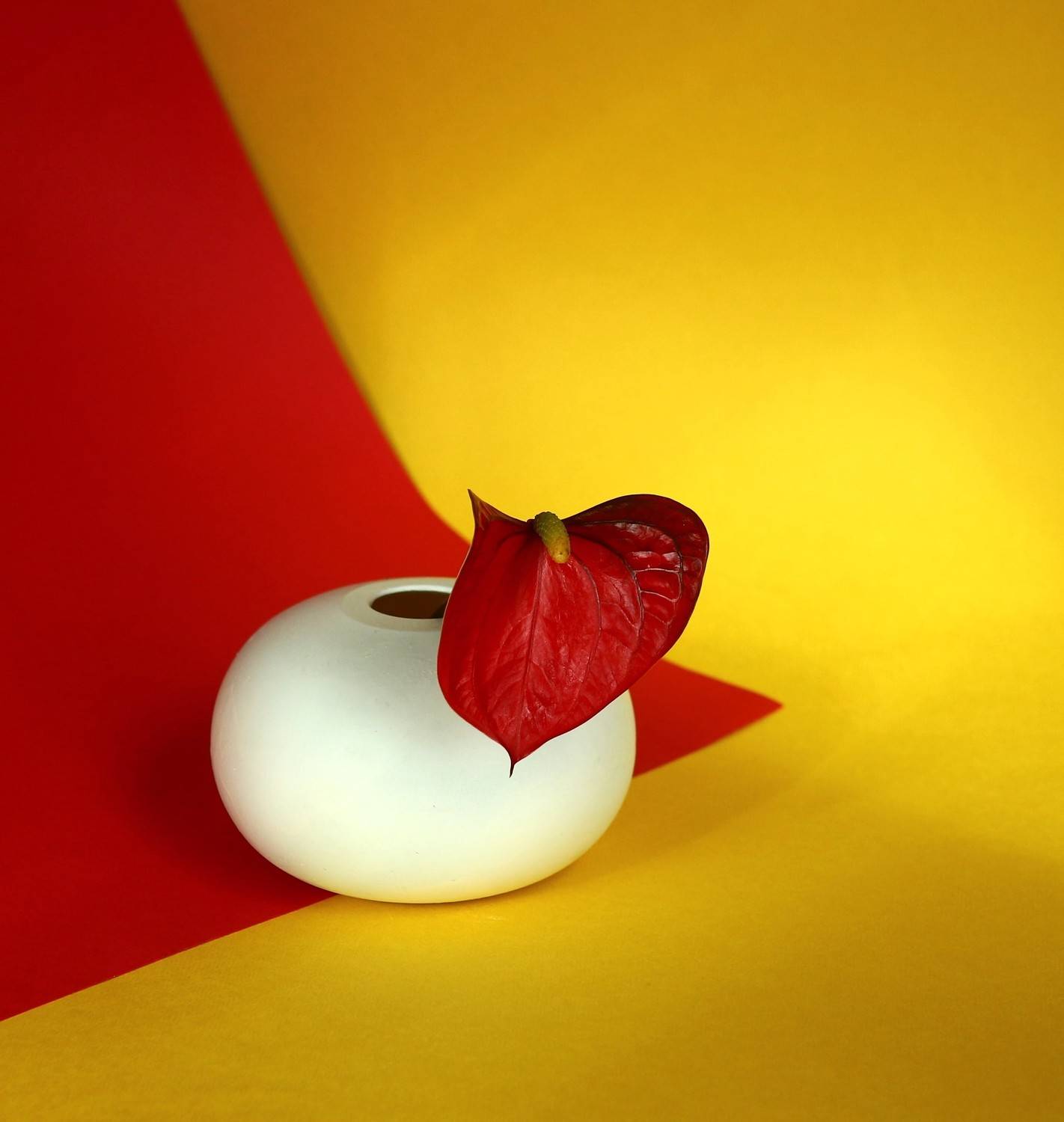 , Людмила Хрусталева*