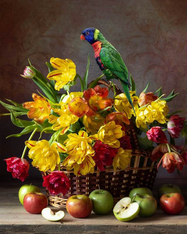 parrot, tulips, still life photography, flowers Basket of Tulips with a Parrot фото превью