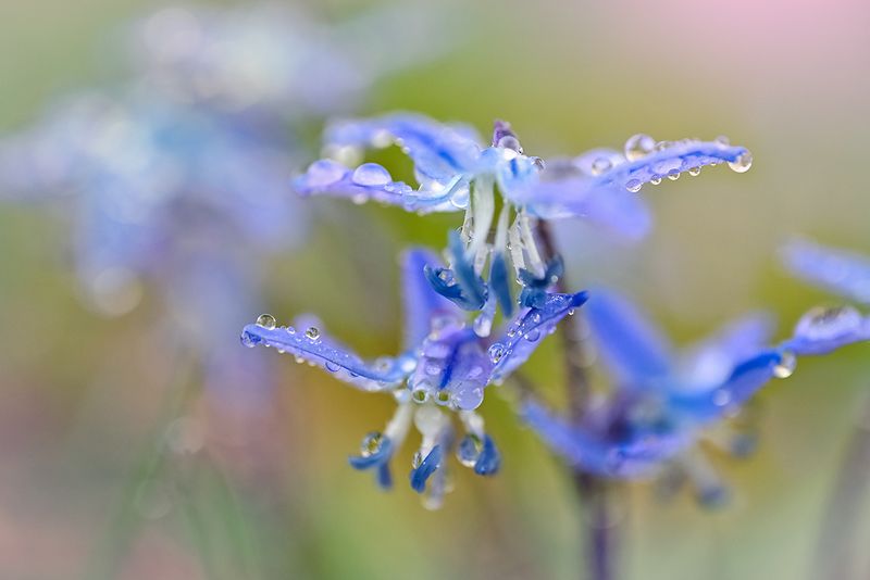 Пробуждение жизни фото превью