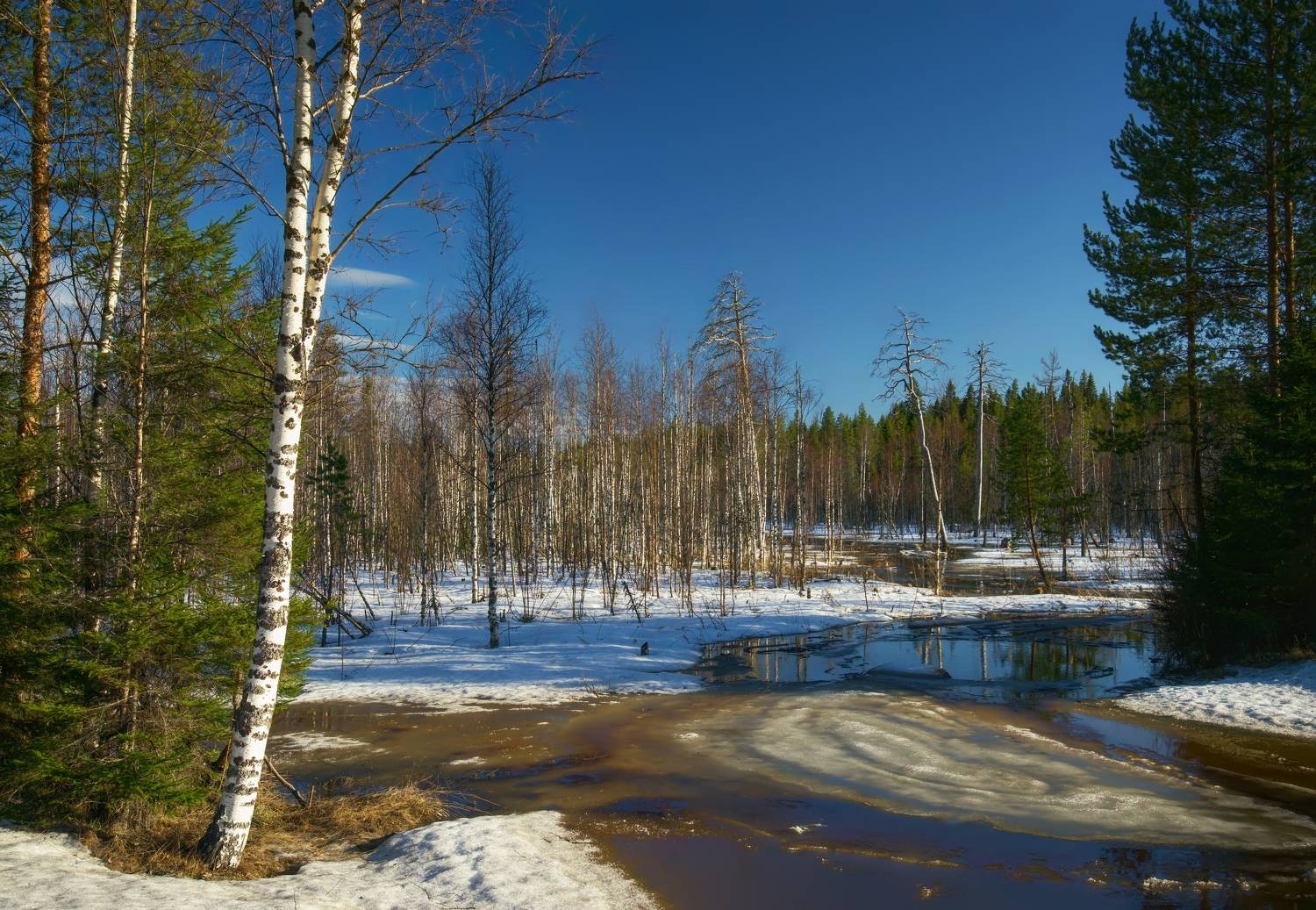 , Шишпанов Игорь