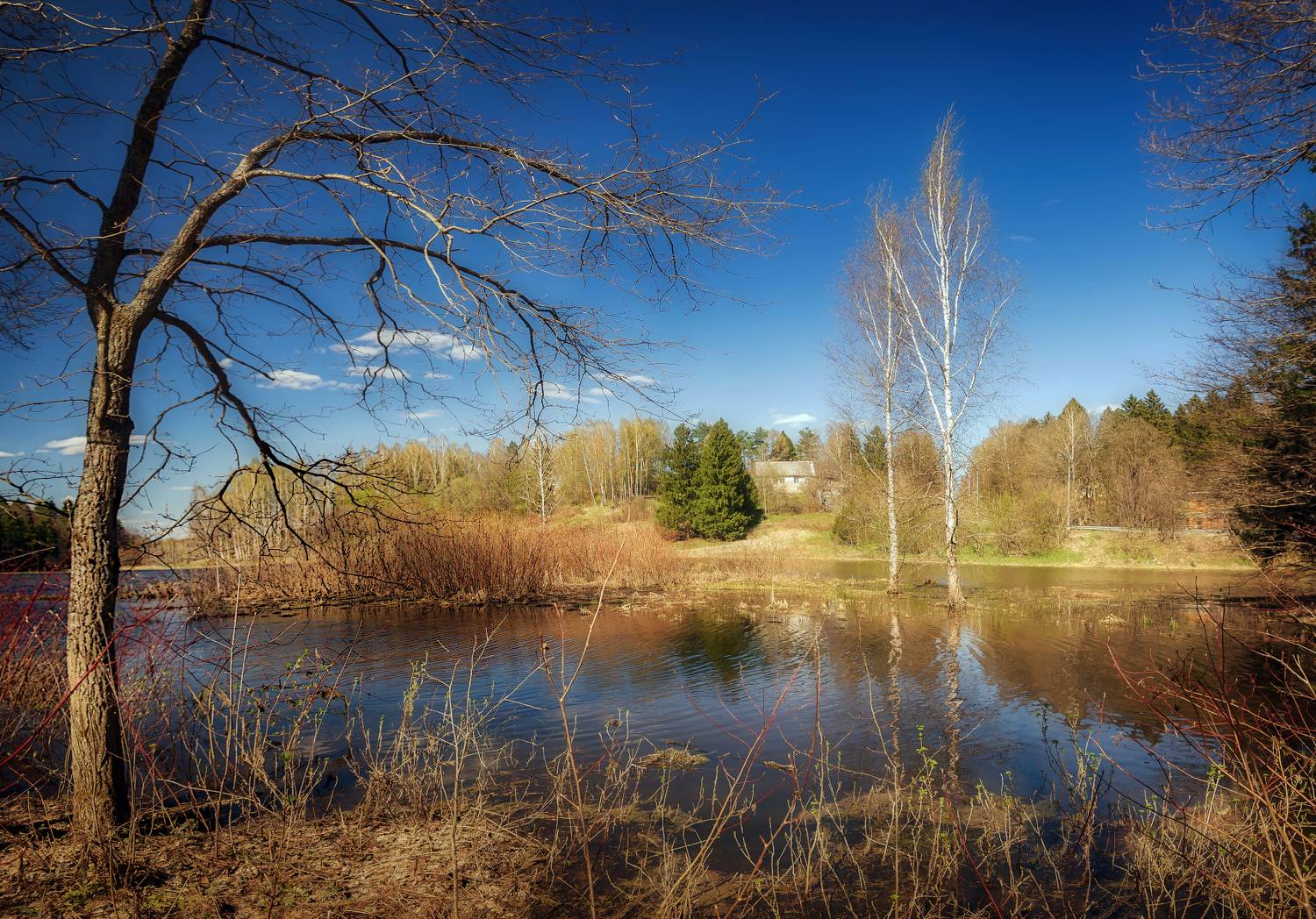 весна, апрель, половодье, Сергей Аникин