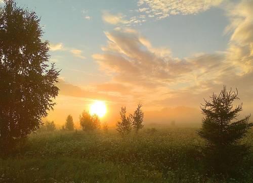 Июльская рань.
