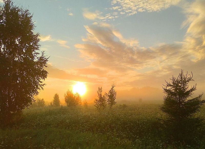 Июльская рань. фото превью