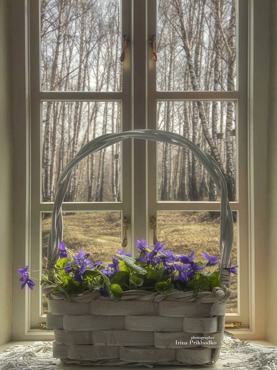 натюрморт, цветы, фиалки, весна, настроение, Приходько Ирина