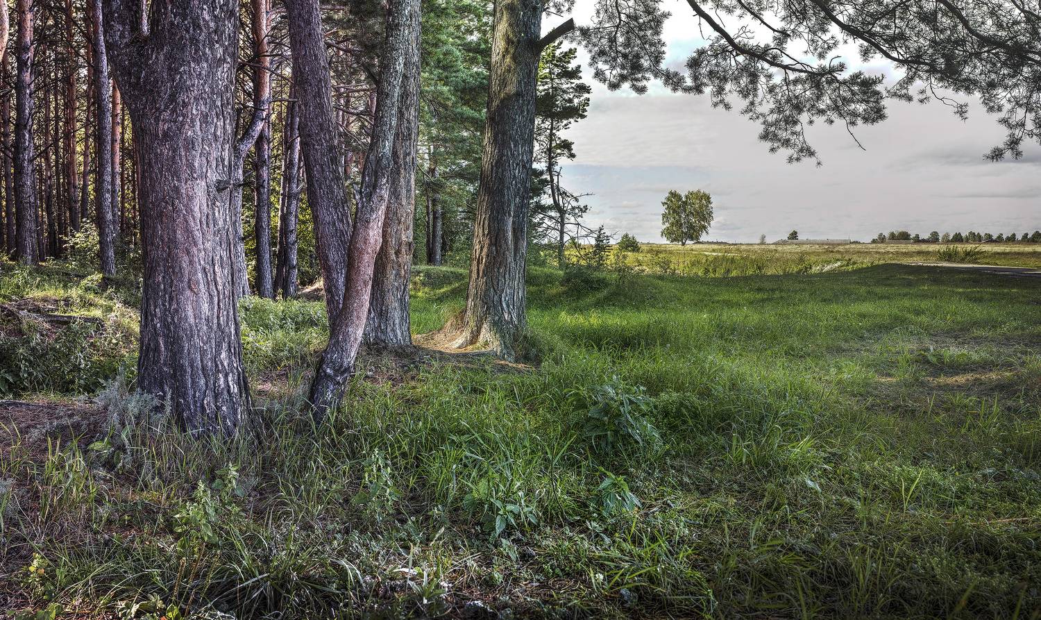 , Борис Бусыгин