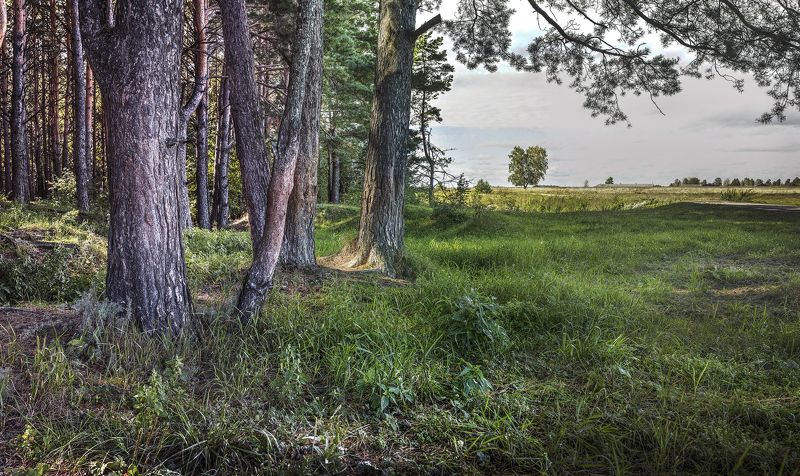 Зауралье фото превью