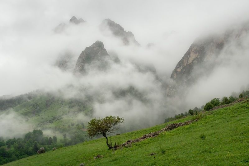 ингушетия, кавказ,горы,цей-ламский хребет, туман *** фото превью