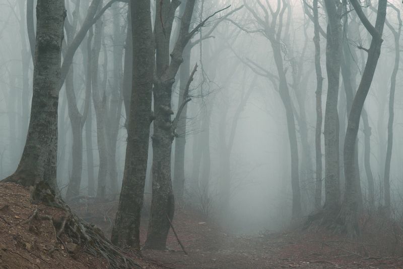 ***** фото превью