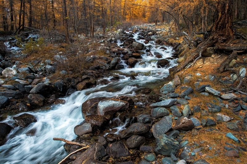река Тастыбулак фото превью
