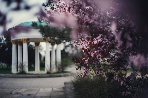 Весенняя явь.