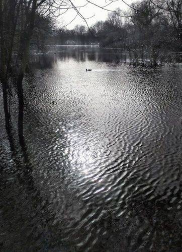 Реки мерцающей покой