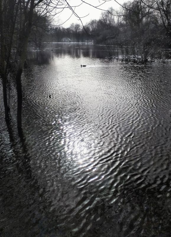 река, половодье, природа, черно-белое Реки мерцающей покой фото превью