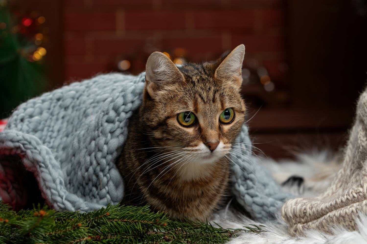 , Зубкова Юлия