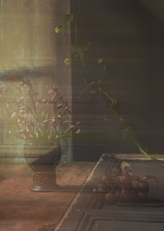 reflex фото превью