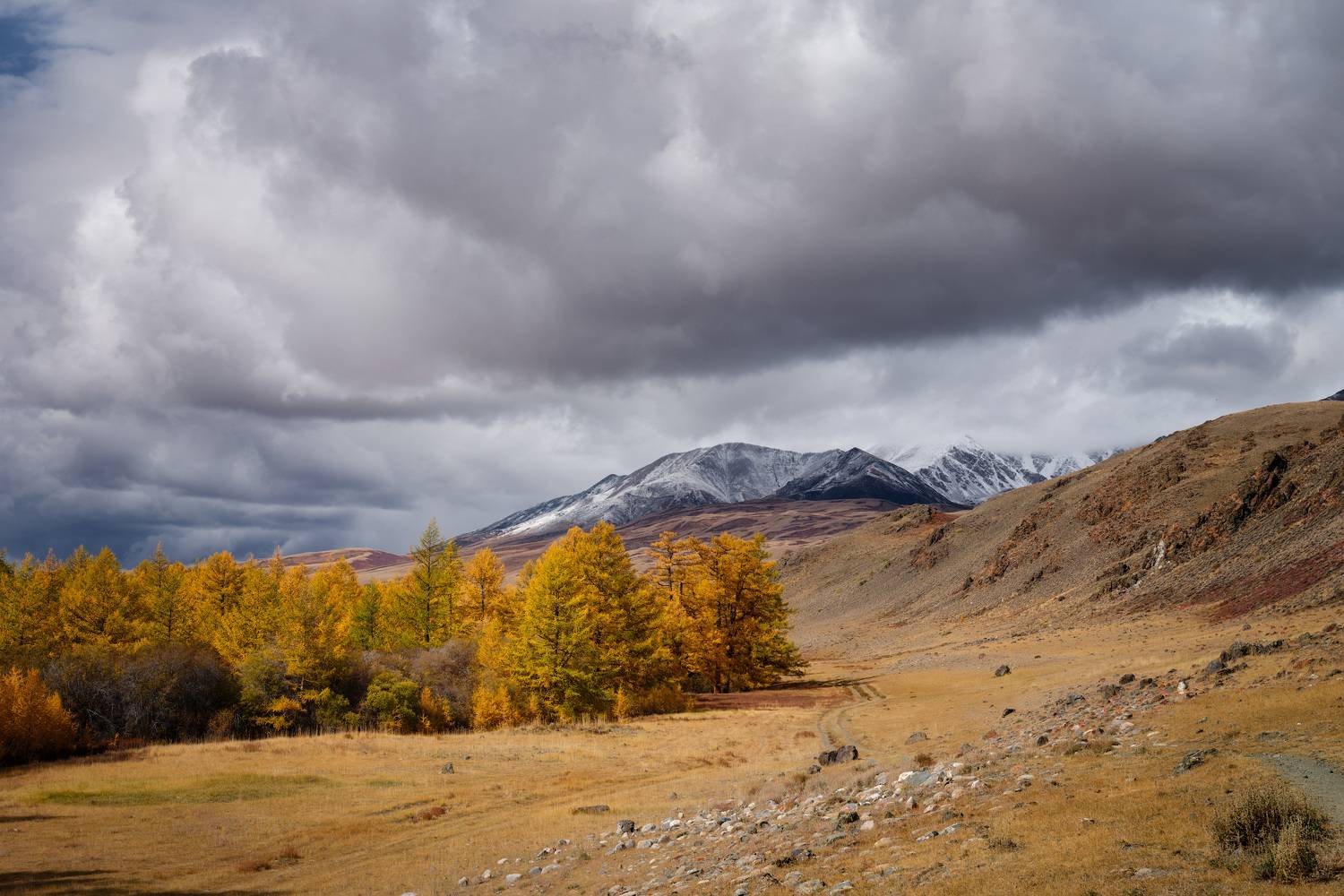 тыва, tuva, горы, солнце, утро, золотая осень, путешествие, journey, traveling, Леонтьев Константин