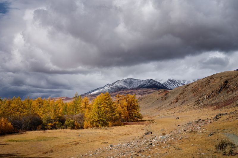 тыва, tuva, горы, солнце, утро, золотая осень, путешествие, journey, traveling Непогода. фото превью