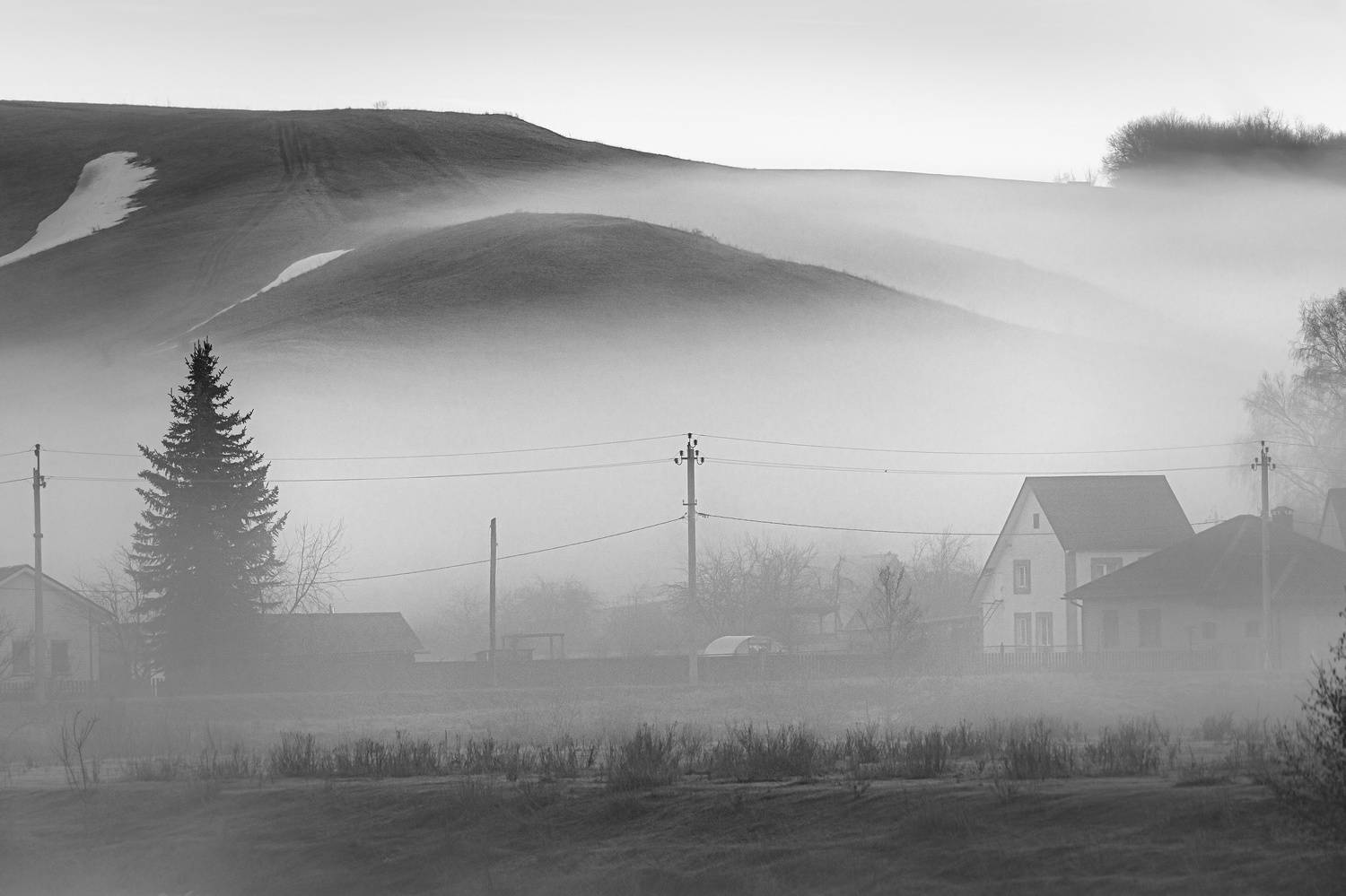 , Алексей Никитин