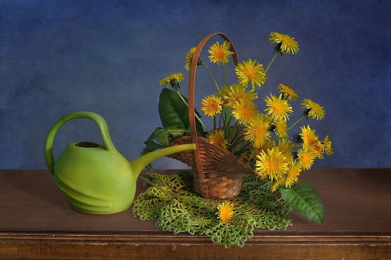 натюрморт,лейка,корзина,одуванчики Одуванчики фото превью