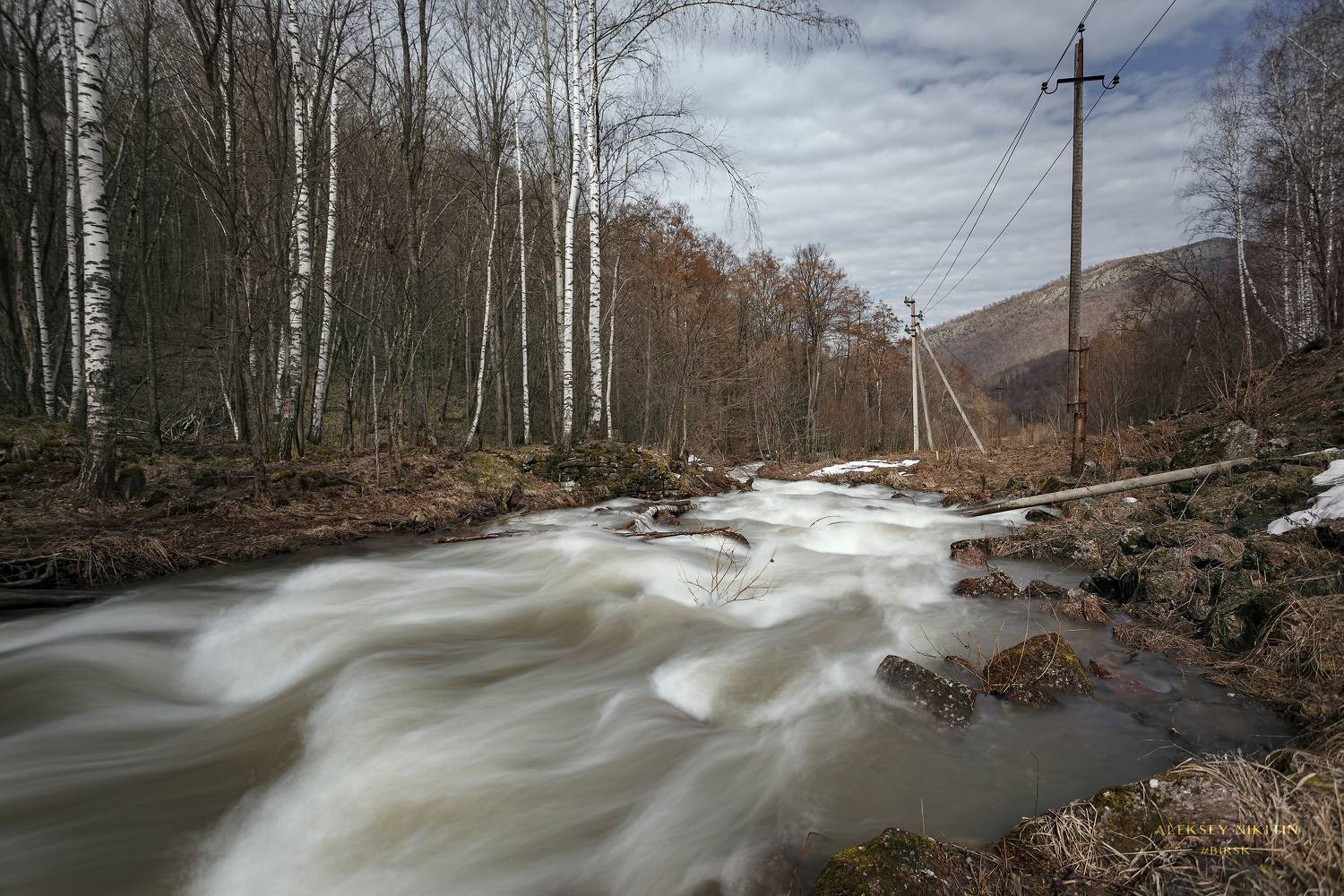 , Алексей Никитин