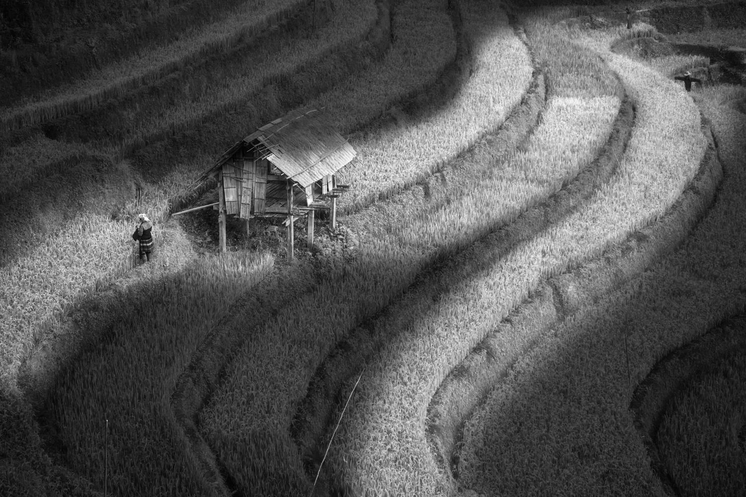 , Михалюк Сергей *