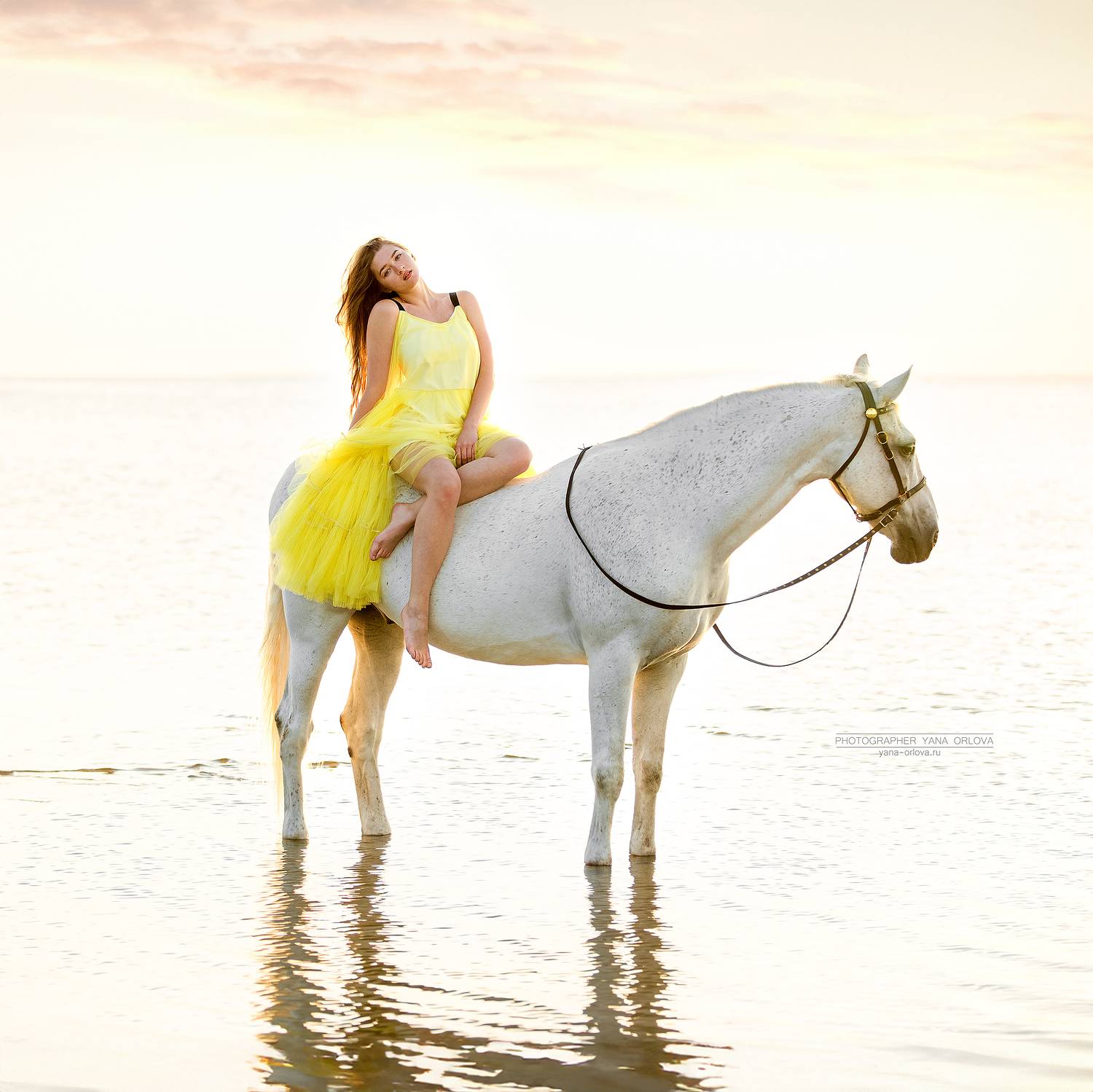 horse, horses, лошадь, конь, конныйфотограф, кэнон, canon, 7020028, лошади, конный фотограф Яна Орлова, фотографияслошадью, фотосессияслошадью, фотосессиислошадьми, коннаяфотография, pferd, horsephotographer, женский портрет, девушка , Яна Орлова