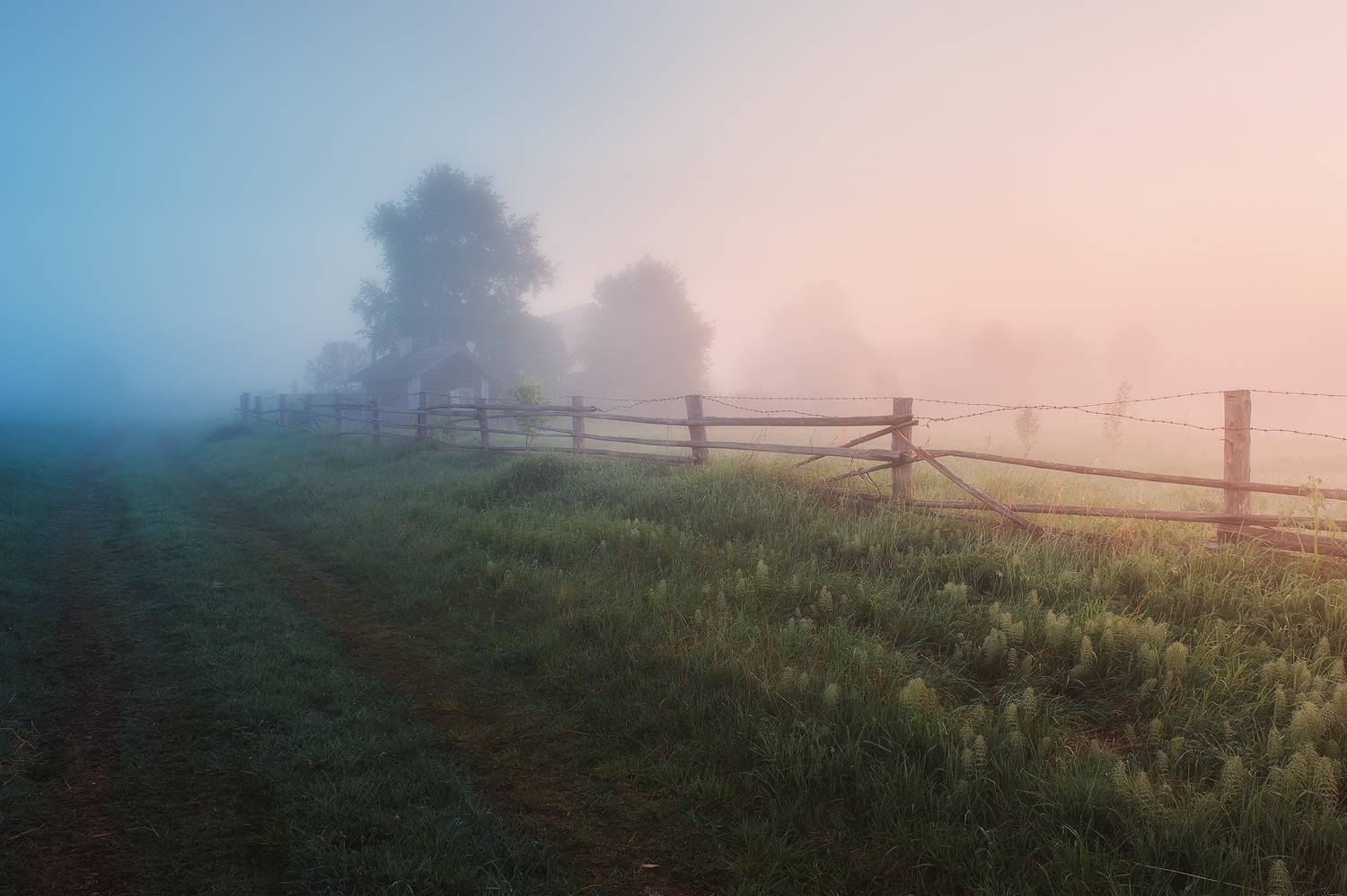 , Ермолин Александр