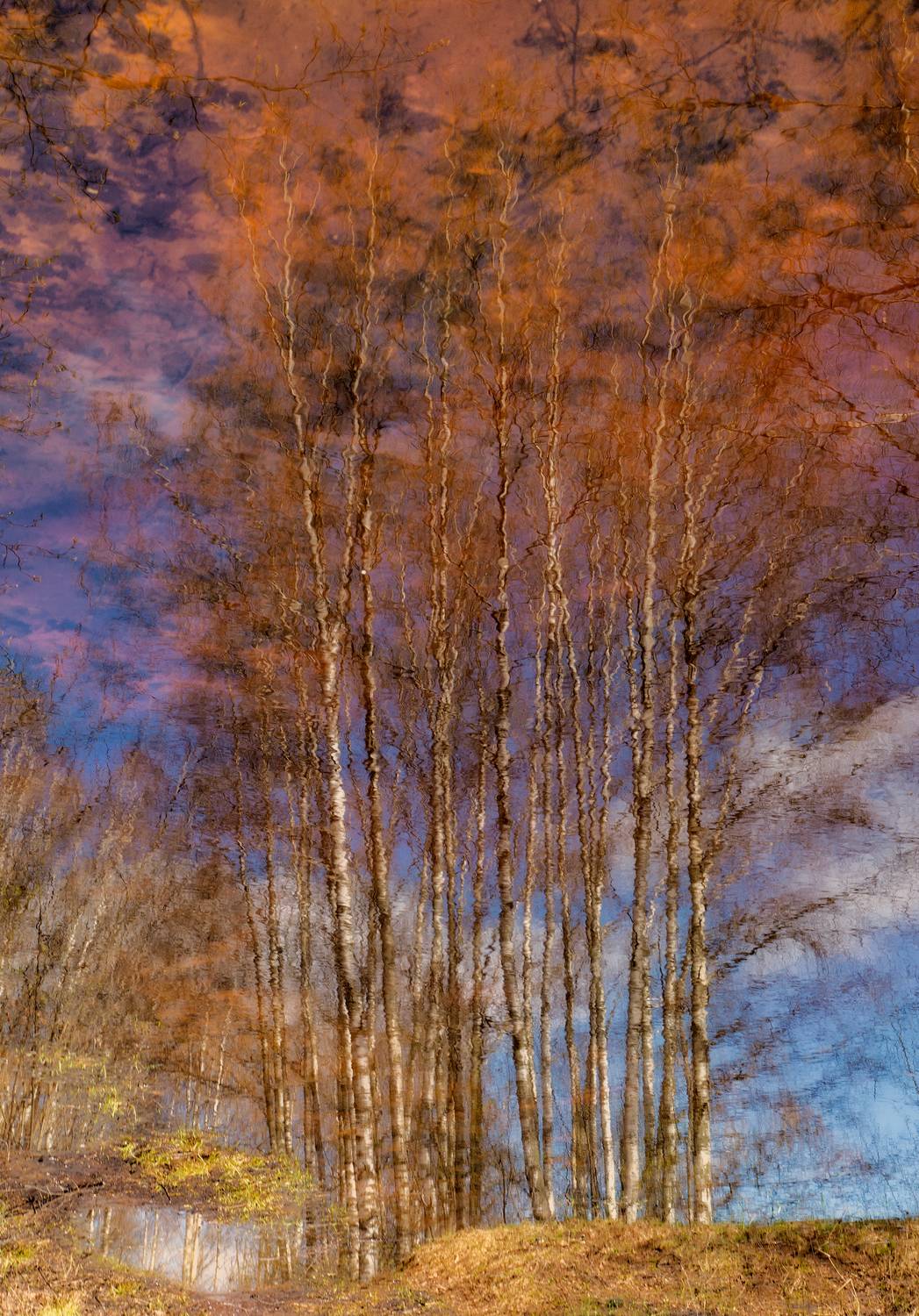 , Подосинников Максим