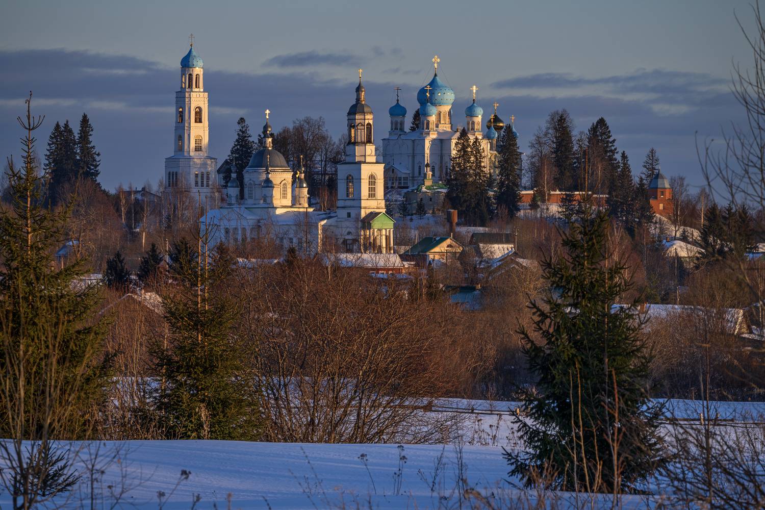 село ножкино, костромская область, чухломской район, авраамиев городецкий монастырь, Зверев Олег