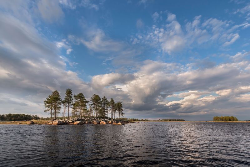 белое, море, устье, река, сиг *** фото превью