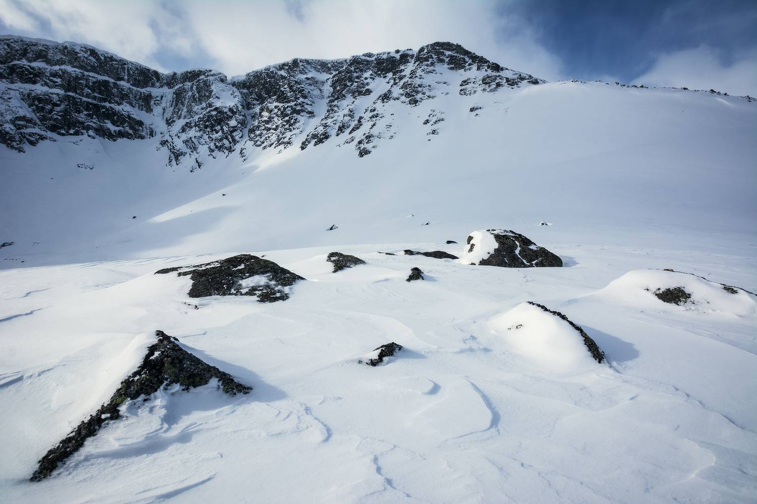 , Ян Сурогин