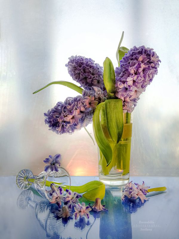 Фаворит весны фото превью