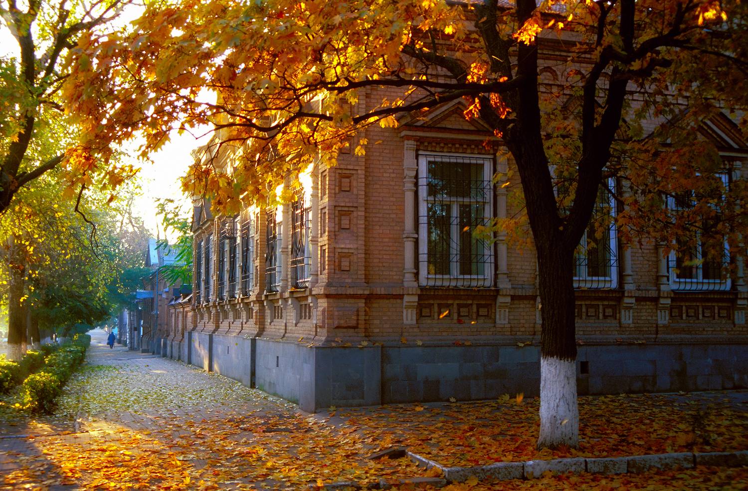 , Андрей Петросян