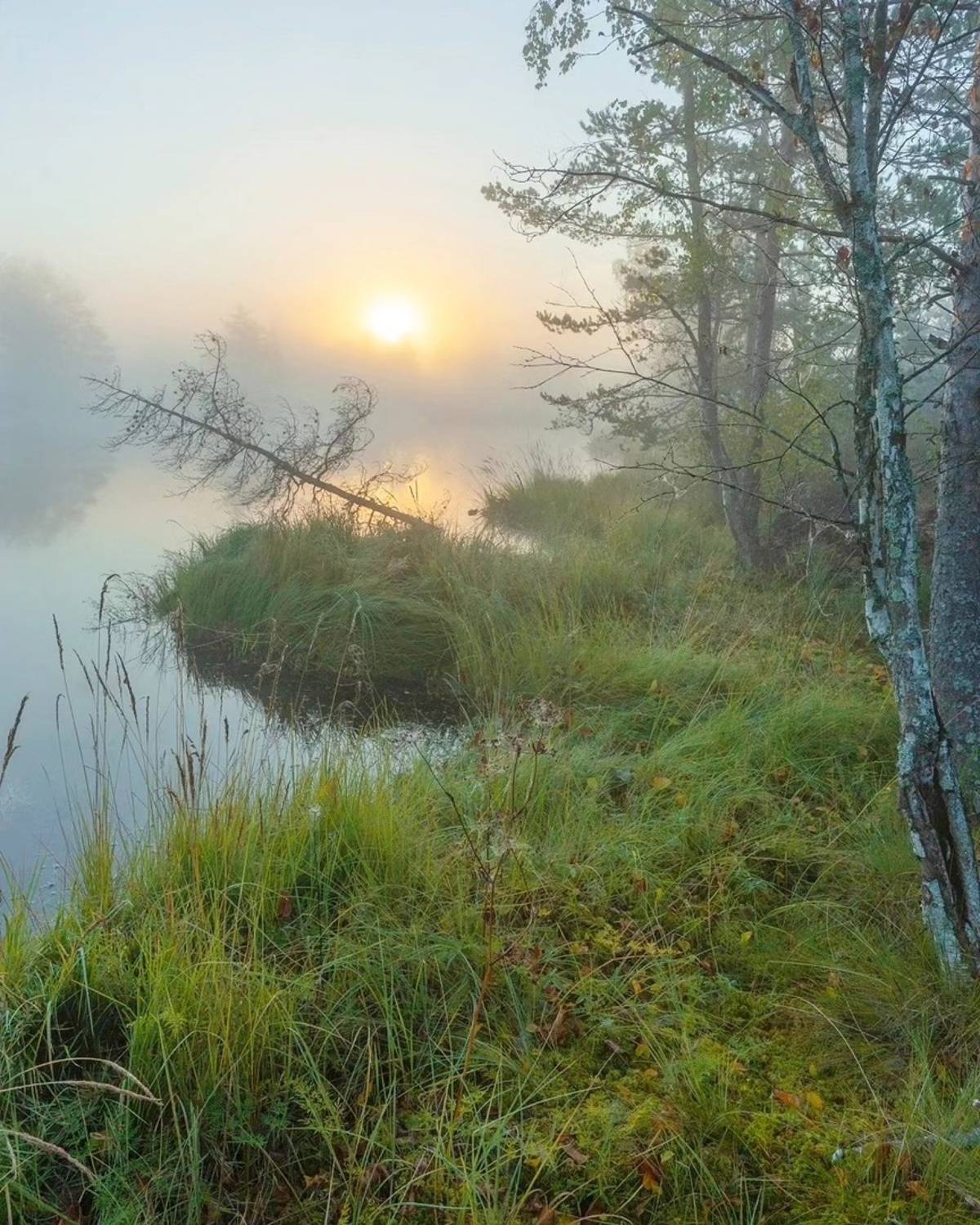 , Петр Косых