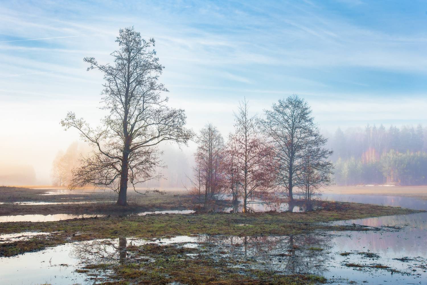 апрель туман суворощь половодье, Алексеев Дмитрий