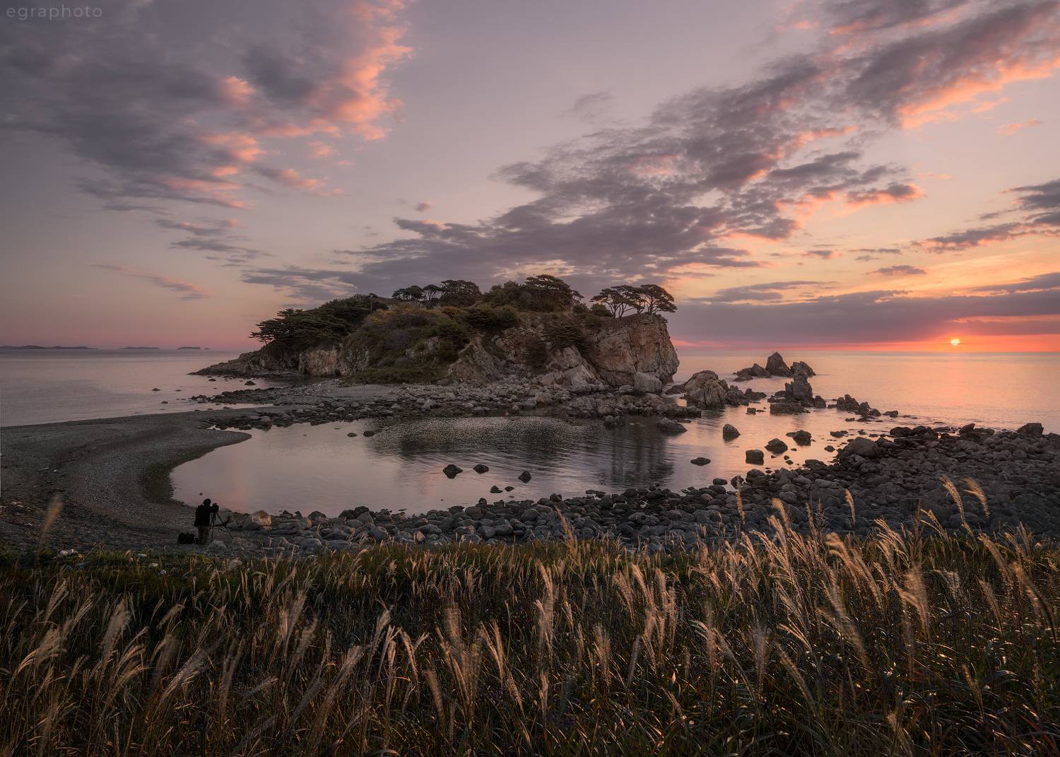 russia, primorye, primorsky krai, far east, россия, приморский край, приморье, дальний восток, полуостров гамова, дальневосточный морской заповедник, Рябенький Александр