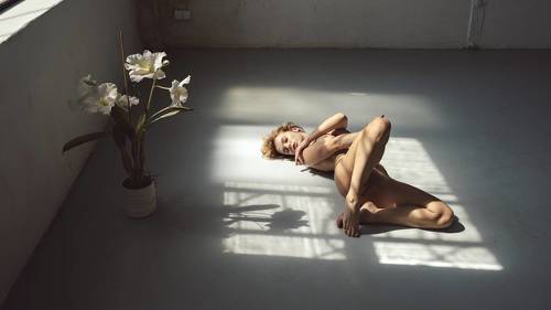 Flowers on the Floor