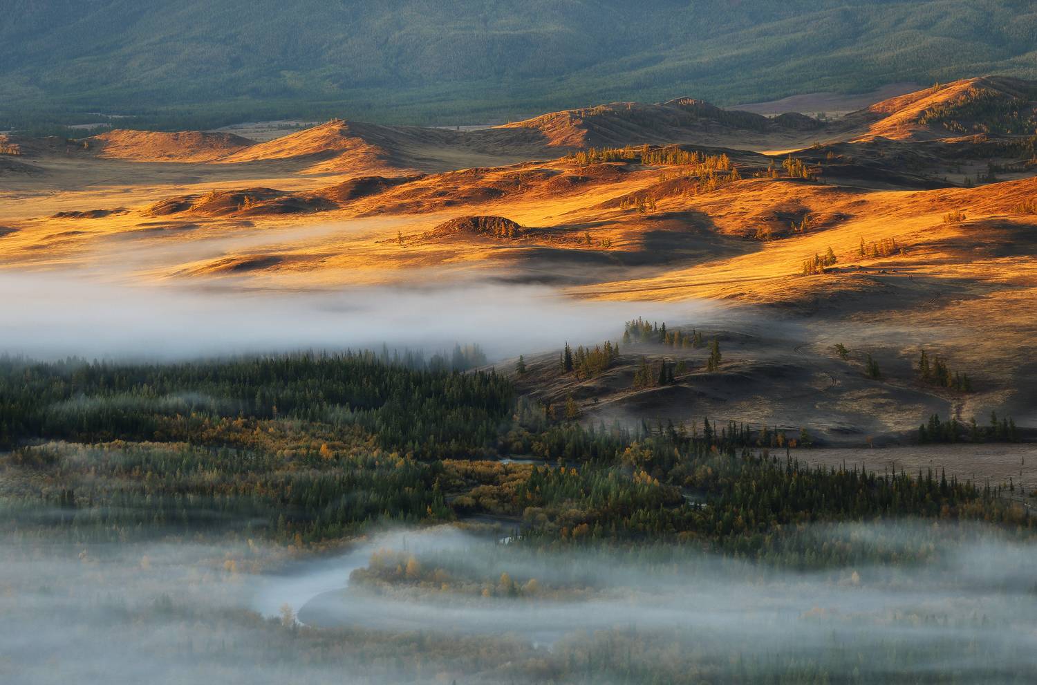алтай, республика алтай, курай, курайская степь, Галина Хвостенко