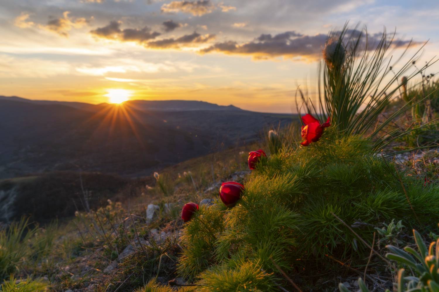 , Юлия Мальцева