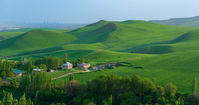 узбекистан, uzbekistan, весна, таваксай, тоскана Таваксайские холмы фото превью