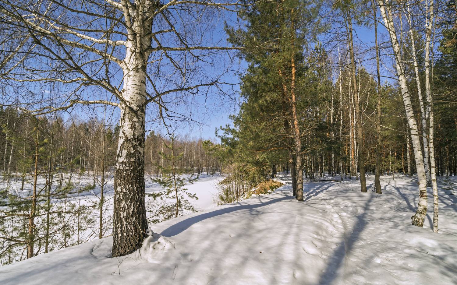 , Шитов Александр