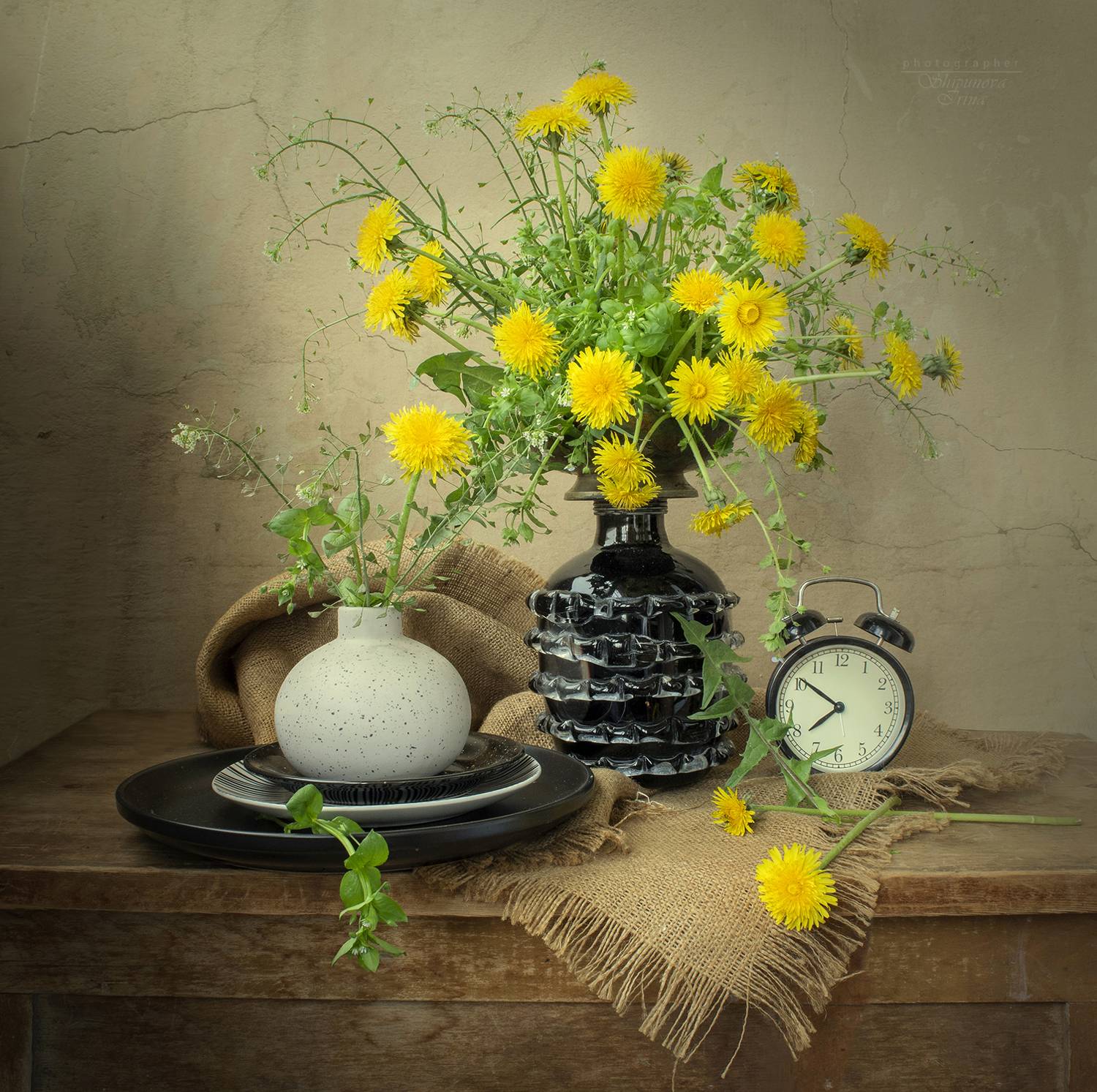 , Ирина Шипунова